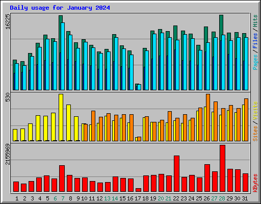 Daily usage for January 2024