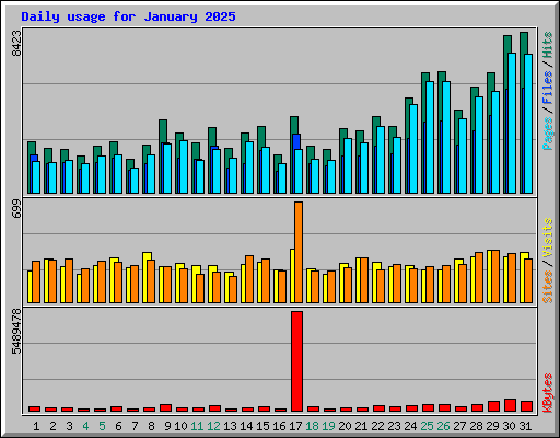 Daily usage for January 2025