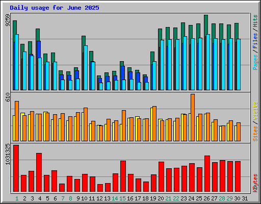 Daily usage for June 2025