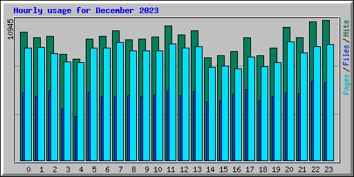 Hourly usage for December 2023