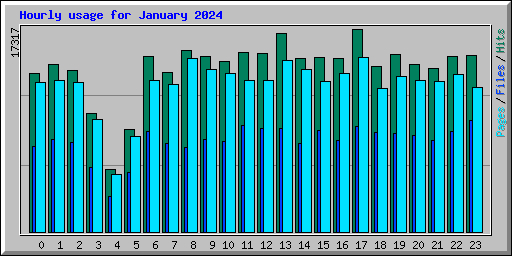 Hourly usage for January 2024