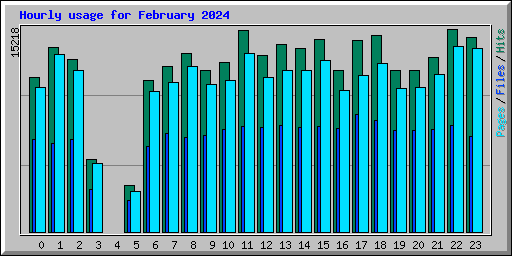 Hourly usage for February 2024