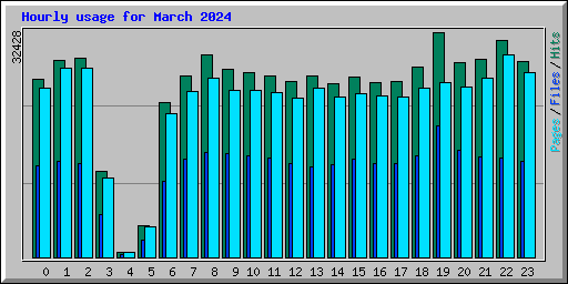Hourly usage for March 2024