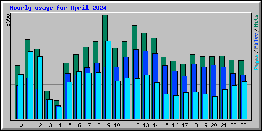 Hourly usage for April 2024