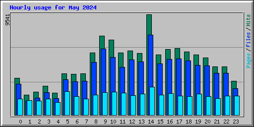 Hourly usage for May 2024