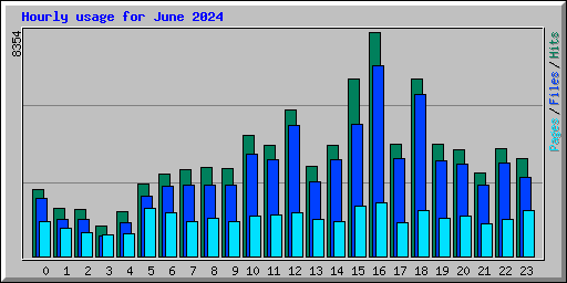 Hourly usage for June 2024