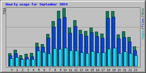 Hourly usage for September 2024