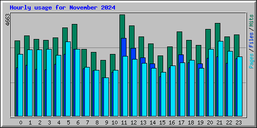 Hourly usage for November 2024