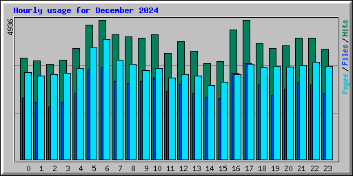 Hourly usage for December 2024