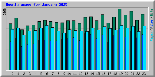Hourly usage for January 2025