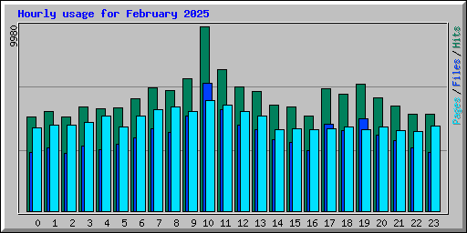 Hourly usage for February 2025