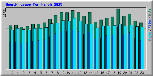 Hourly usage for March 2025