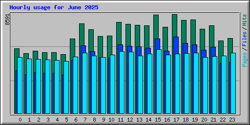 Hourly usage for June 2025