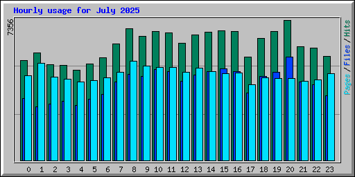 Hourly usage for July 2025