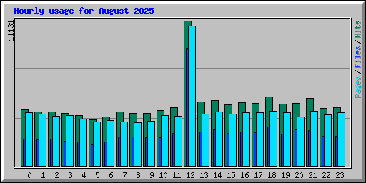 Hourly usage for August 2025